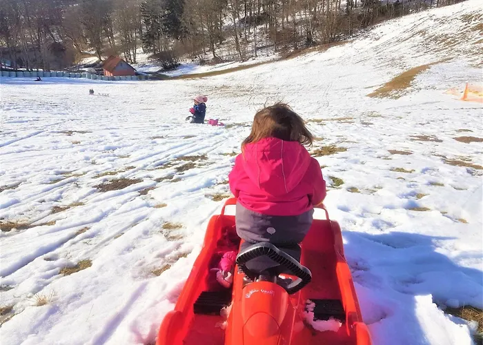 Apartment Superior Komfort Mit Wallbox By Interhome Sankt Andreasberg