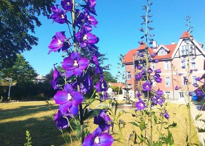 Superior Komfort Mit Wallbox By Interhome * Sankt Andreasberg